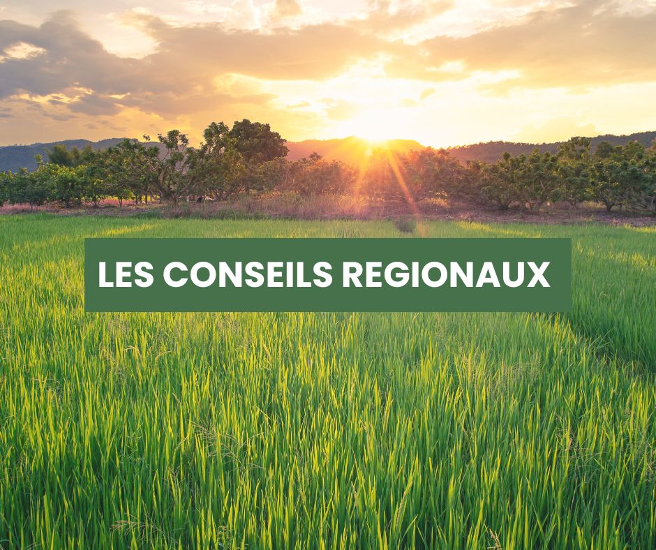 Les Conseils Regionaux